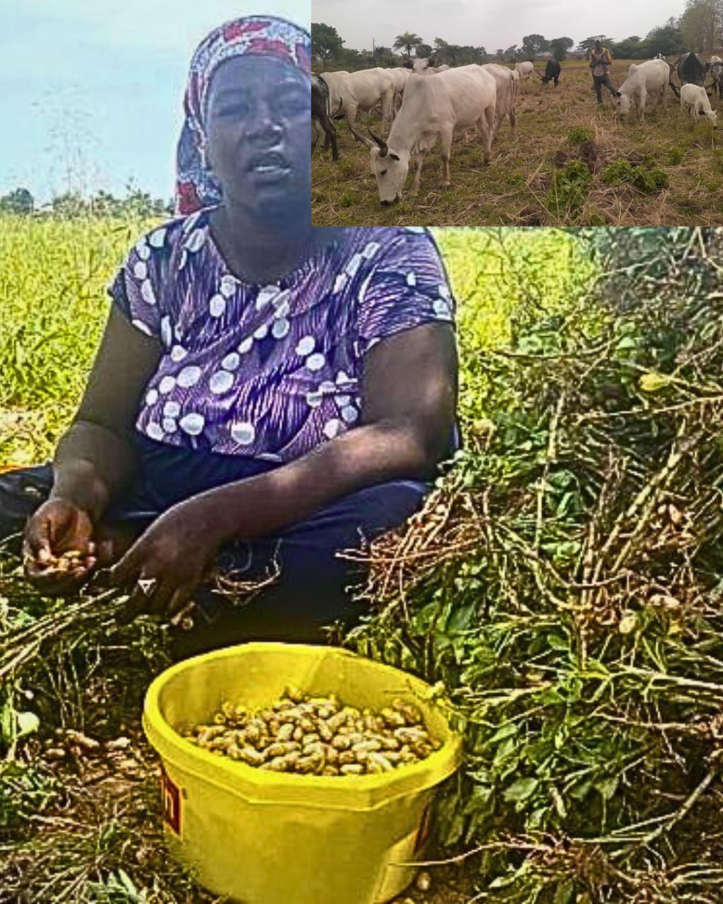 Food Security Is a Peace and Security Issue, and Women Farmers Are at the Centre